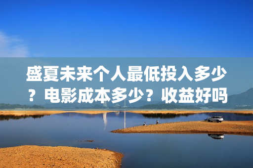 盛夏未来个人最低投入多少？电影成本多少？收益好吗？(盛夏未来中的dj)