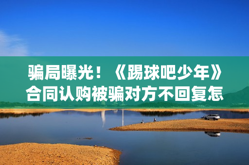 骗局曝光！《踢球吧少年》合同认购被骗对方不回复怎么办？怎么追回资金？——抵制耐克(网络上说的踢踢什么意思)