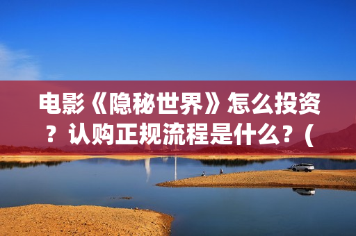 电影《隐秘世界》怎么投资？认购正规流程是什么？(隐秘世界电视剧)