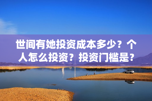 世间有她投资成本多少？个人怎么投资？投资门槛是？(世间有她电影投资)