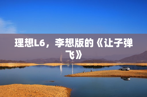 理想L6，李想版的《让子弹飞》