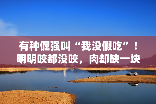 有种倔强叫“我没假吃”！明明咬都没咬，肉却缺一块，当观众瞎吗