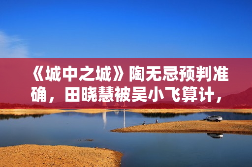 《城中之城》陶无忌预判准确，田晓慧被吴小飞算计，沈婧袖手旁观