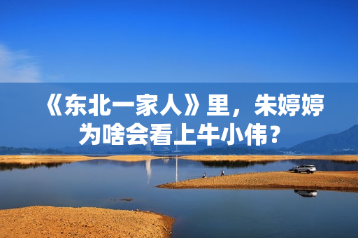 《东北一家人》里，朱婷婷为啥会看上牛小伟？