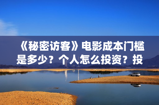 《秘密访客》电影成本门槛是多少？个人怎么投资？投资有保障吗？(《秘密访客》电影演员表)