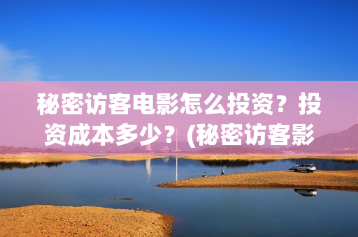 秘密访客电影怎么投资？投资成本多少？(秘密访客影片解析)