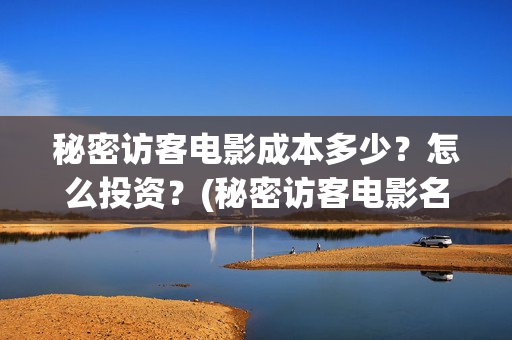 秘密访客电影成本多少？怎么投资？(秘密访客电影名)