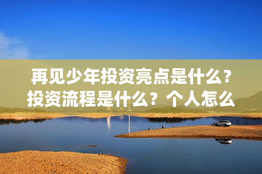 再见少年投资亮点是什么？投资流程是什么？个人怎么参与(再见少年联合出品方)