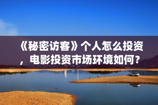 《秘密访客》个人怎么投资，电影投资市场环境如何？(秘密访客最全解析)