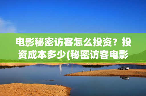 电影秘密访客怎么投资？投资成本多少(秘密访客电影啥意思)