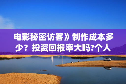电影秘密访客》制作成本多少？投资回报率大吗?个人投资赚钱吗？(电影秘密访客的内容简介)