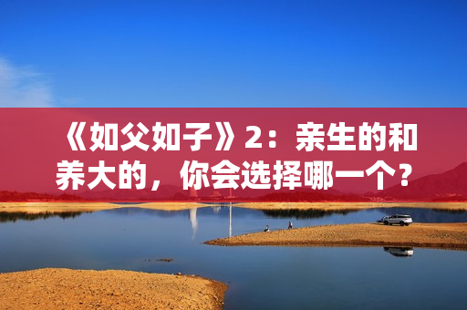 《如父如子》2：亲生的和养大的，你会选择哪一个？