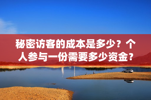 秘密访客的成本是多少？个人参与一份需要多少资金？(秘密访客赔钱了吗)