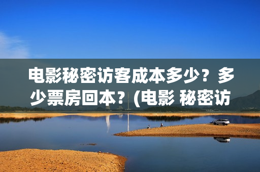 电影秘密访客成本多少？多少票房回本？(电影 秘密访客)