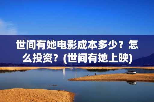 世间有她电影成本多少？怎么投资？(世间有她上映)