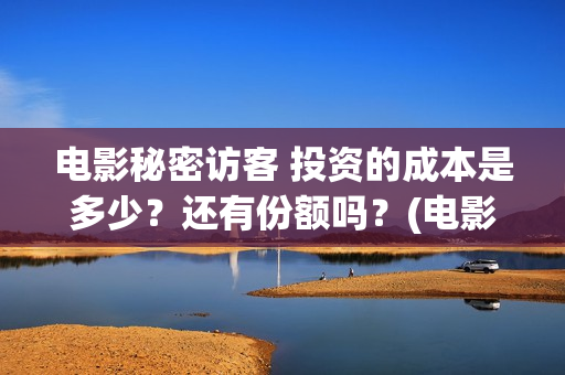 电影秘密访客 投资的成本是多少？还有份额吗？(电影秘密访客故事简介)