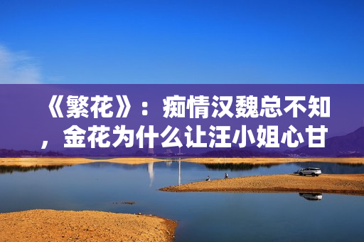 《繁花》:痴情汉魏总不知,金花为什么让汪小姐心甘情愿参加婚宴 《繁花》:痴情汉魏总不知,金花为什么让汪小姐心甘情愿参加婚宴