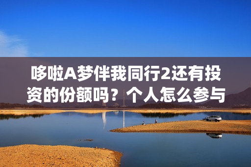 哆啦A梦伴我同行2还有投资的份额吗？个人怎么参与？(哆啦a梦伴我同行)