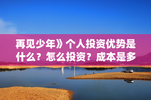 再见少年》个人投资优势是什么？怎么投资？成本是多少？(再见少年简介)