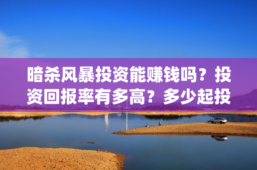 暗杀风暴投资能赚钱吗？投资回报率有多高？多少起投(暗杀风暴百科)