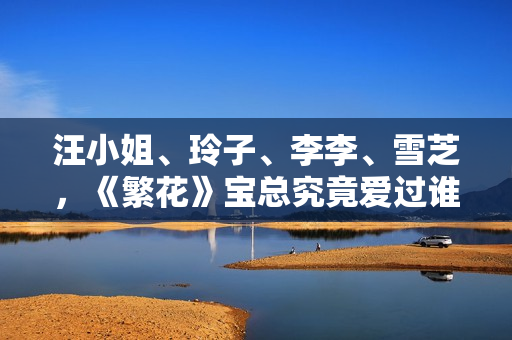 汪小姐、玲子、李李、雪芝,《繁花》宝总究竟爱过谁? 汪小姐、玲子、李李、雪芝,《繁花》宝总究竟爱过谁?