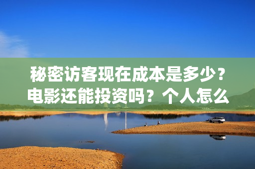 秘密访客现在成本是多少？电影还能投资吗？个人怎么参与？(秘密访客好吓人)