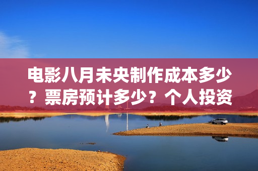 电影八月未央制作成本多少？票房预计多少？个人投资份额真实吗？(电影八月未央制片人是谁)