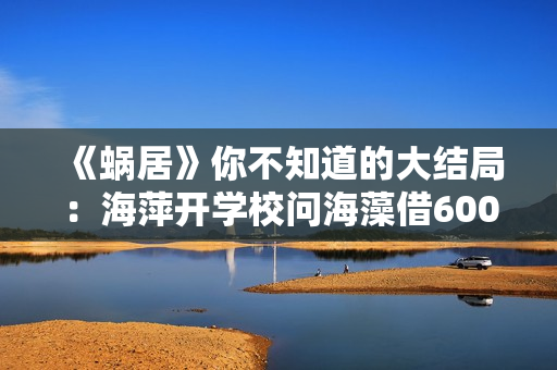 《蜗居》你不知道的大结局：海萍开学校问海藻借60000，海藻要哭