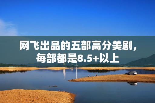 网飞出品的五部高分美剧，每部都是8.5+以上