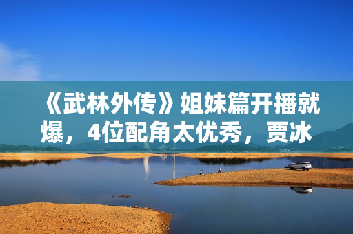《武林外传》姐妹篇开播就爆，4位配角太优秀，贾冰也被抢了风头