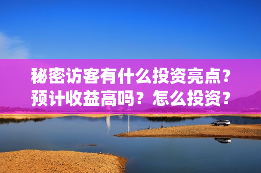 秘密访客有什么投资亮点？预计收益高吗？怎么投资？(秘密访客有什么好看的)