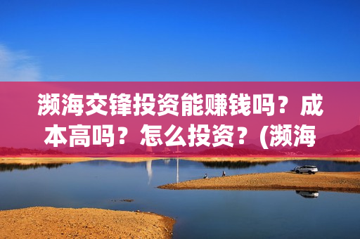 濒海交锋投资能赚钱吗？成本高吗？怎么投资？(濒海交锋电影投资可靠吗)