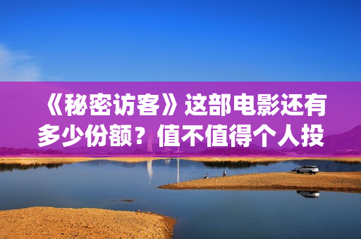 《秘密访客》这部电影还有多少份额？值不值得个人投资？(《秘密访客》有哪些细思极恐的细节?)
