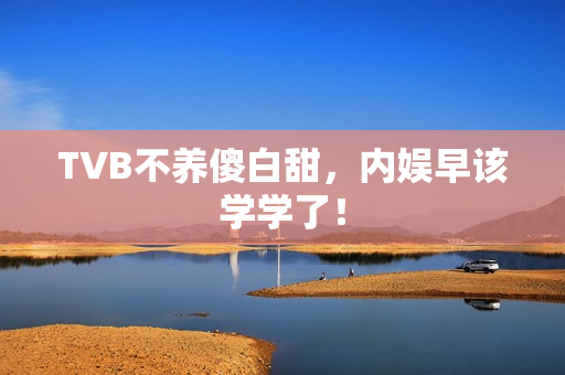 TVB不养傻白甜，内娱早该学学了！
