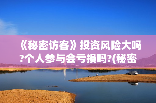 《秘密访客》投资风险大吗?个人参与会亏损吗?(秘密访客2021hdtc最新)