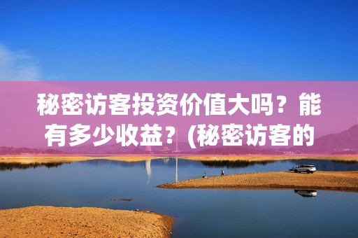 秘密访客投资价值大吗？能有多少收益？(秘密访客的票价)