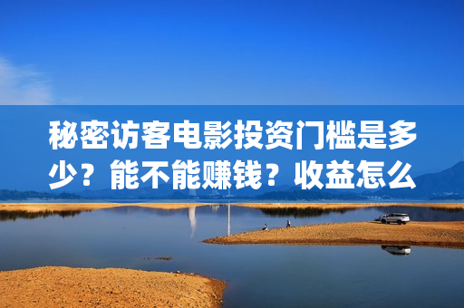 秘密访客电影投资门槛是多少？能不能赚钱？收益怎么样啊？(密秘访客 电影)