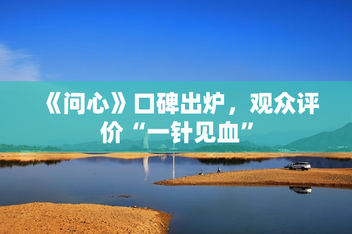 《问心》口碑出炉，观众评价“一针见血”