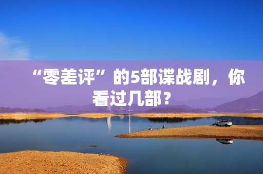 “零差评”的5部谍战剧，你看过几部？