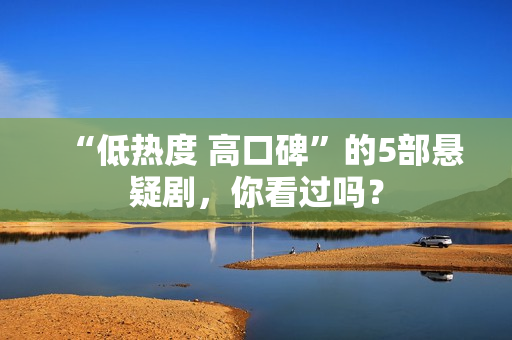 “低热度 高口碑”的5部悬疑剧，你看过吗？