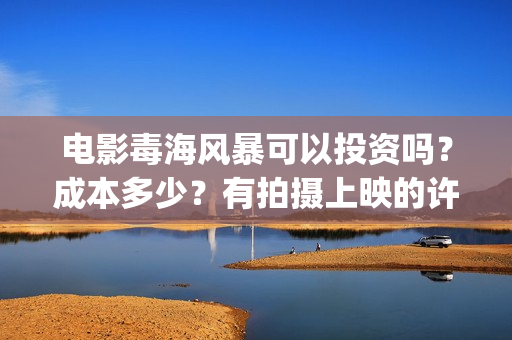 电影毒海风暴可以投资吗？成本多少？有拍摄上映的许可证吗？(毒海风暴 电影)