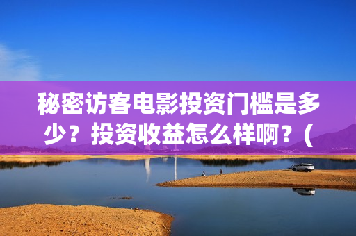 秘密访客电影投资门槛是多少？投资收益怎么样啊？(秘密访客电影投资多少钱)