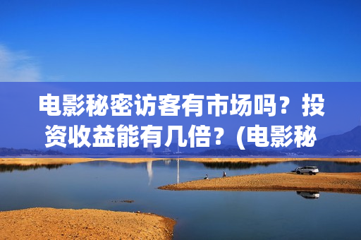 电影秘密访客有市场吗？投资收益能有几倍？(电影秘密访客有几部)