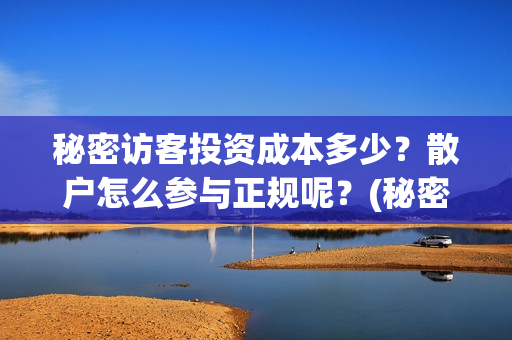 秘密访客投资成本多少？散户怎么参与正规呢？(秘密访客 投资方)