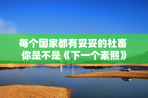 每个国家都有妥妥的社畜 你是不是《下一个素熙》