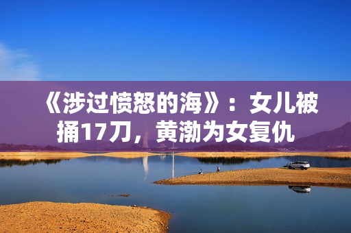 《涉过愤怒的海》：女儿被捅17刀，黄渤为女复仇