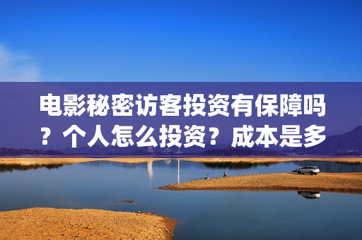 电影秘密访客投资有保障吗？个人怎么投资？成本是多少？(秘密访客电影票)