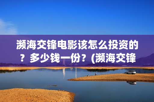 濒海交锋电影该怎么投资的？多少钱一份？(濒海交锋电影怎么样)