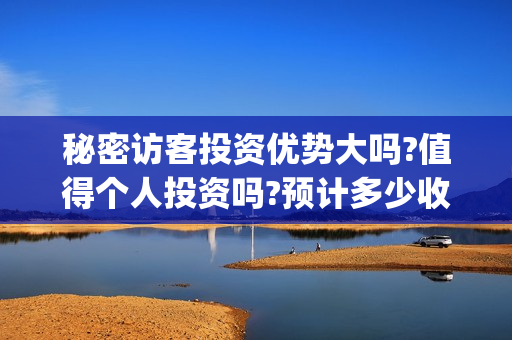 秘密访客投资优势大吗?值得个人投资吗?预计多少收益?(秘密访客买票)