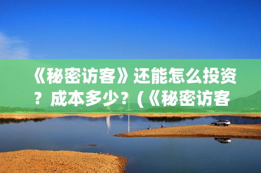 《秘密访客》还能怎么投资？成本多少？(《秘密访客》看不懂)